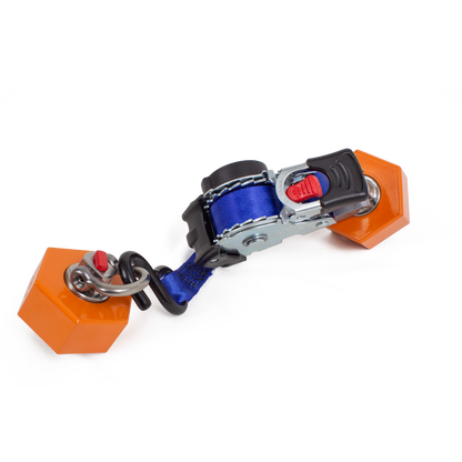 CargoClips Gurt Box "GurtClip"